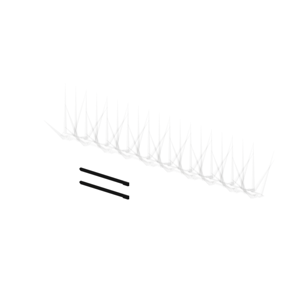 FVT.png